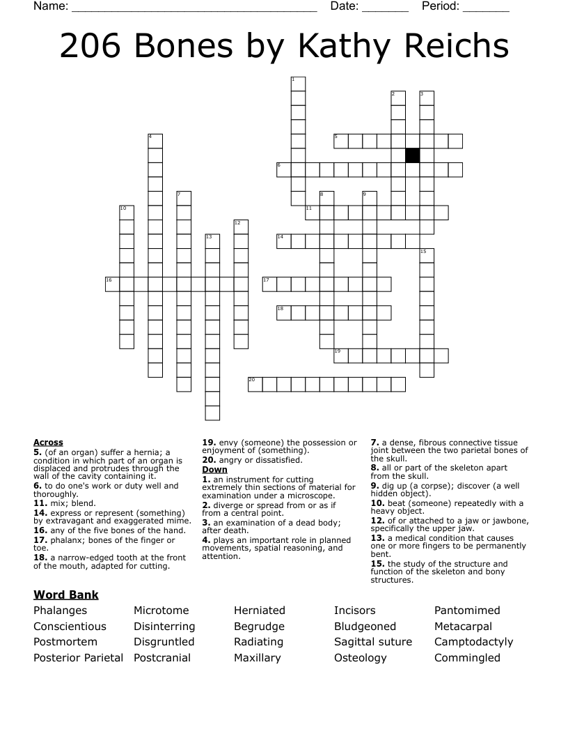 206 Bones by Kathy Reichs Crossword