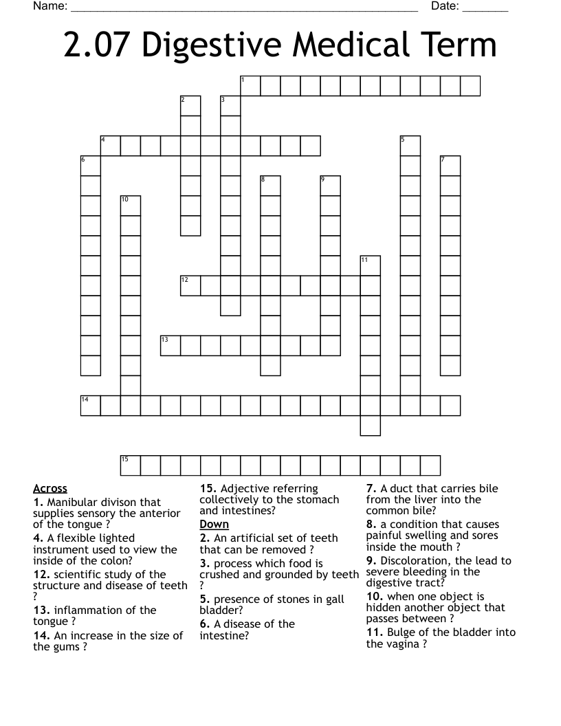2.07 Digestive Medical Term  Crossword