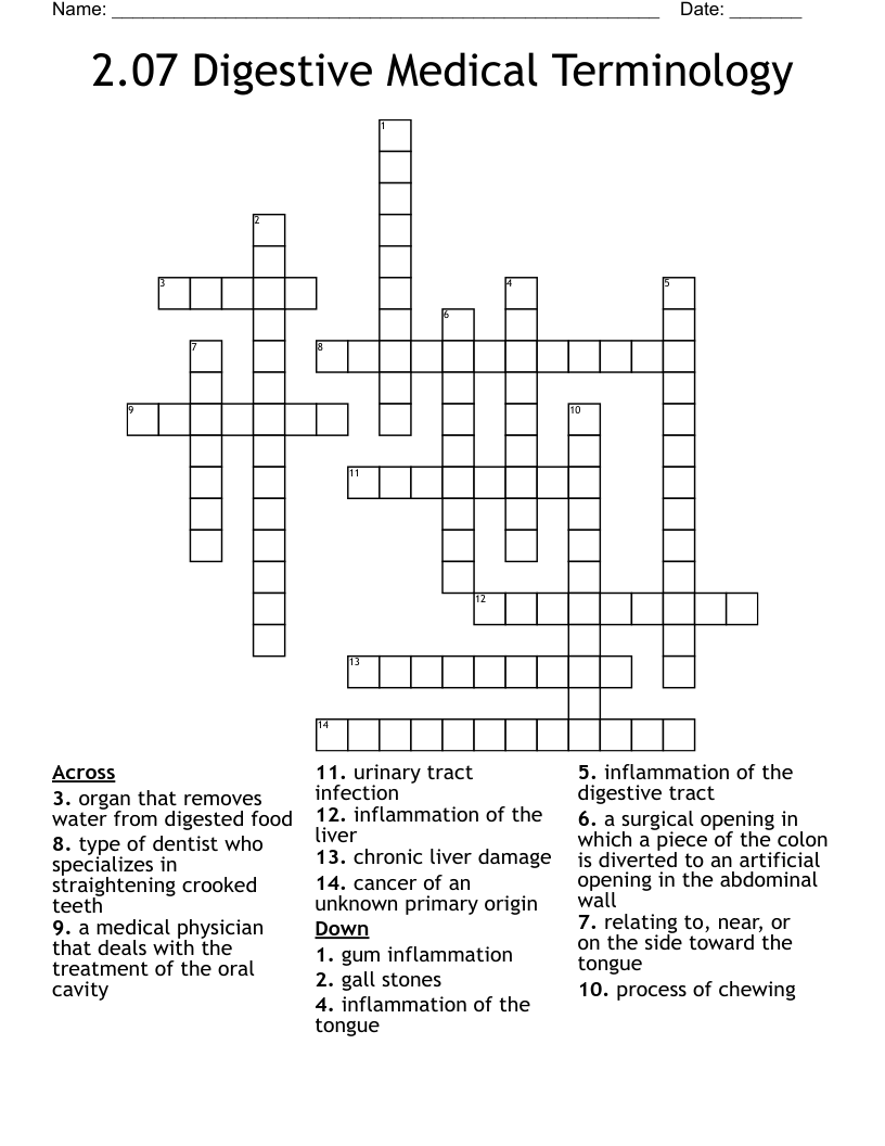2.07 Digestive Medical Terminology Crossword