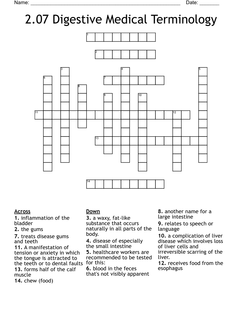 2.07 Digestive Medical Terminology Crossword