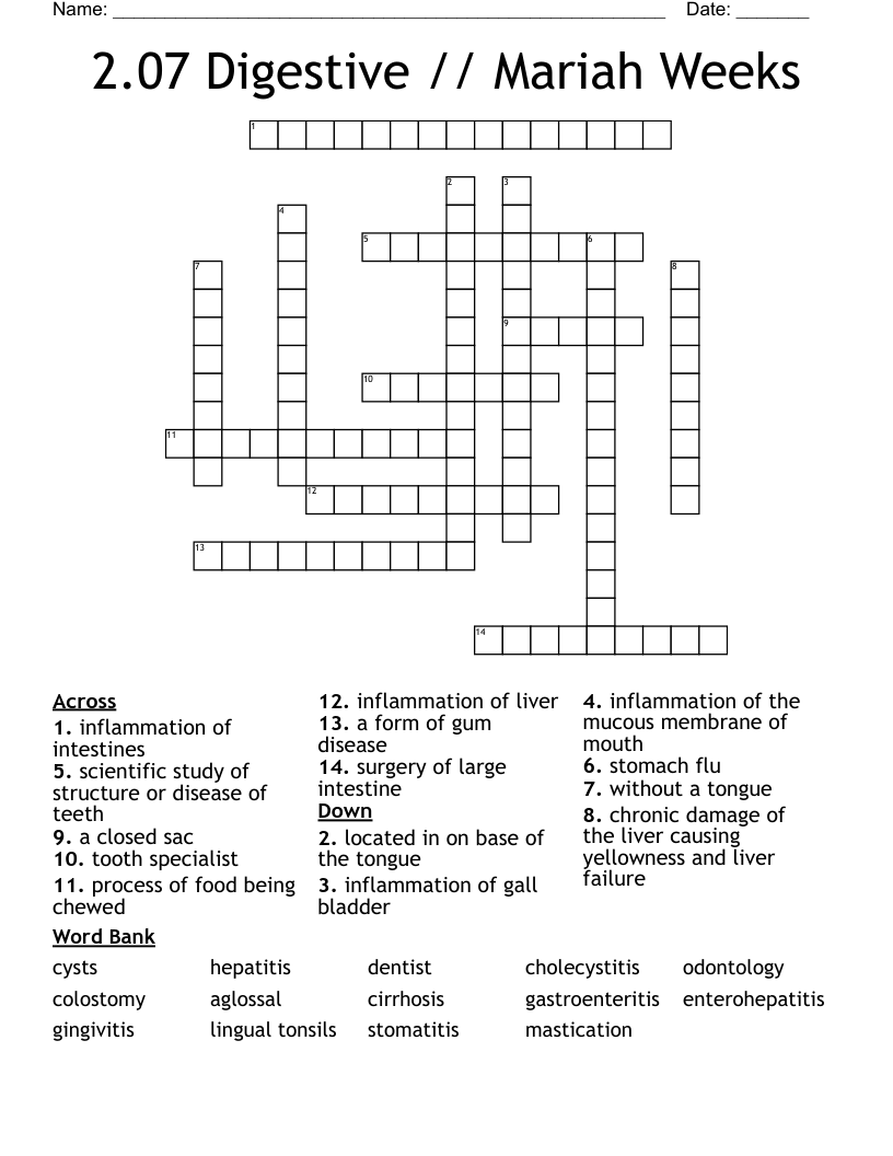 2.07 Digestive // Mariah Weeks Crossword