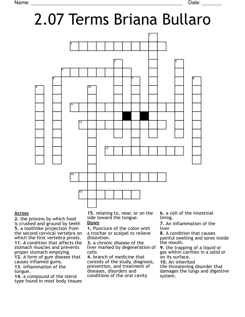 2.07 Terms Briana Bullaro Crossword