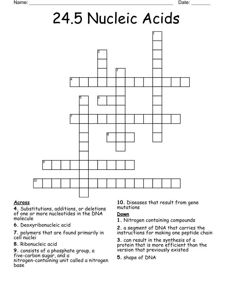 24.5 Nucleic Acids Crossword