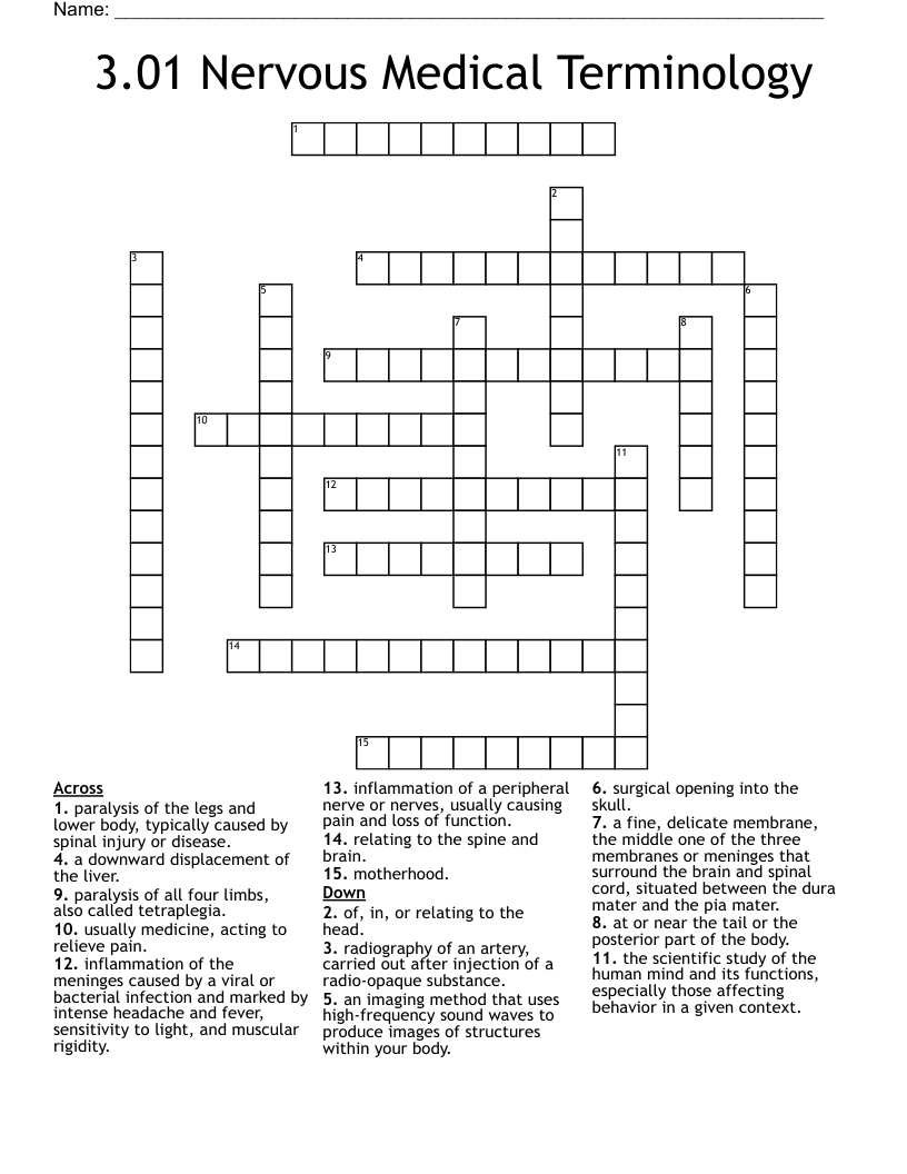 3.01 Nervous Medical Terminology Crossword