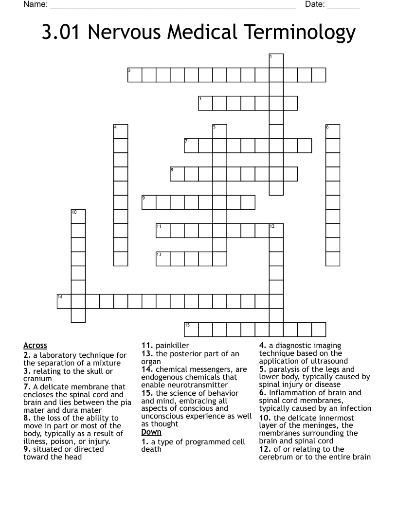 3.01 Nervous Medical Terminology Crossword