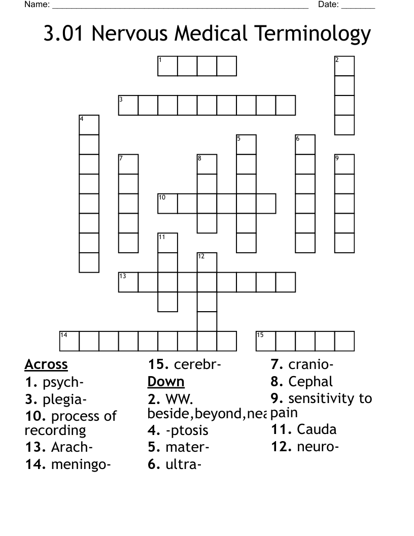 3.01 Nervous Medical Terminology Crossword
