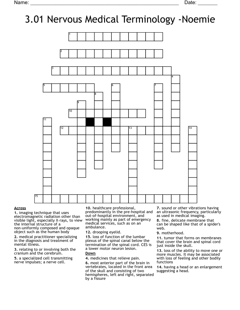 3.01 Nervous Medical Terminology -Noemie Crossword
