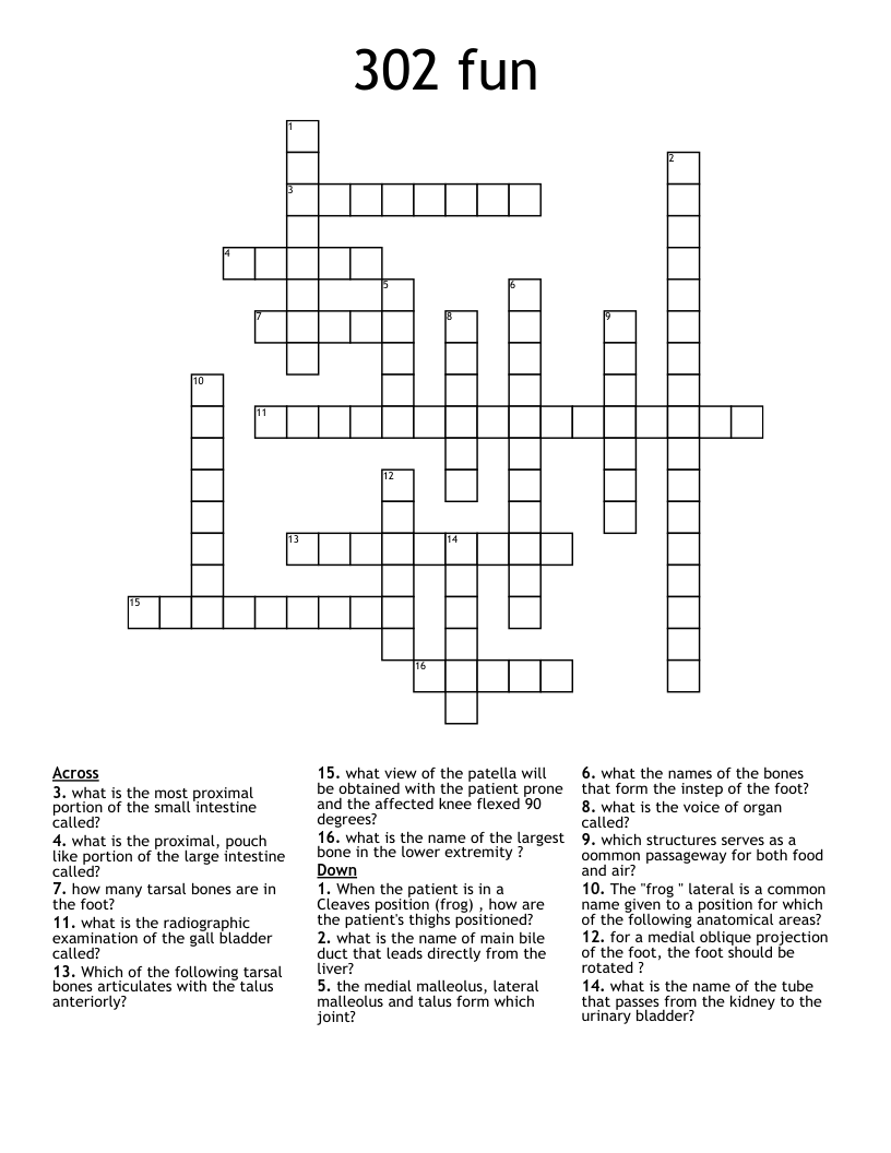 302 fun Crossword