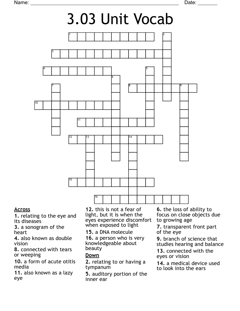 3.03 Unit Vocab Crossword