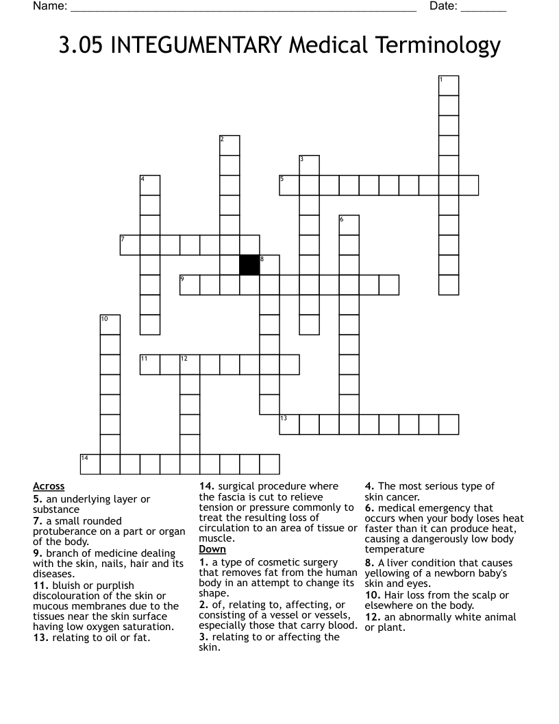 3.05 INTEGUMENTARY Medical Terminology Crossword