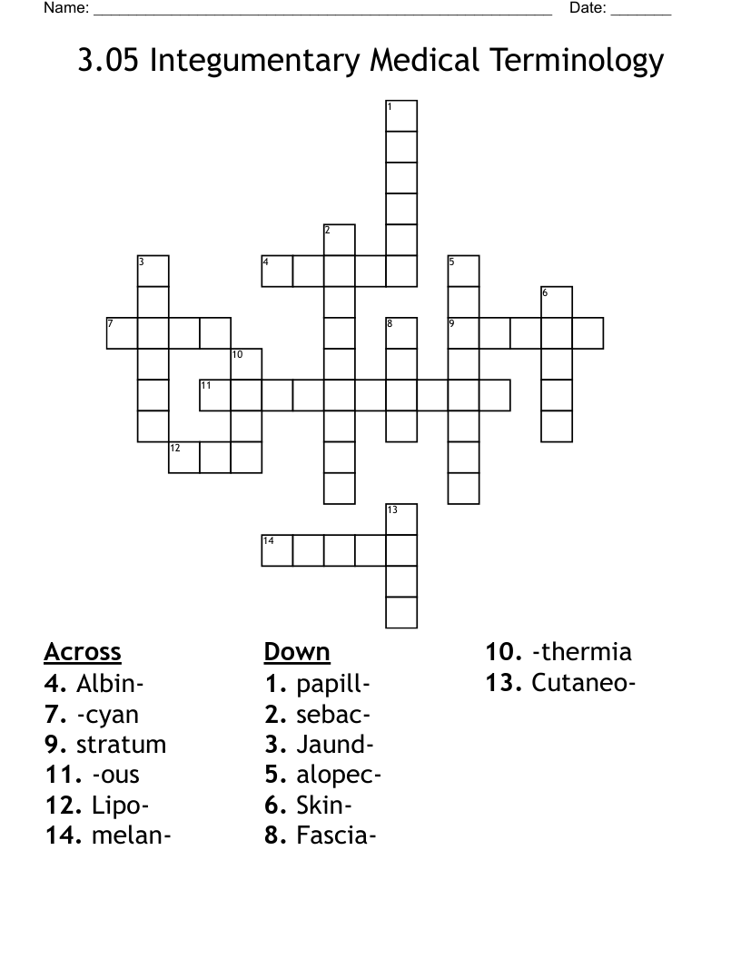 3.05 Integumentary Medical Terminology Crossword