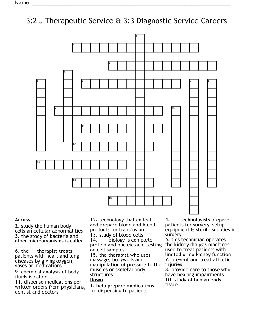 3:2 J Therapeutic Service & 3:3 Diagnostic Service Careers Crossword
