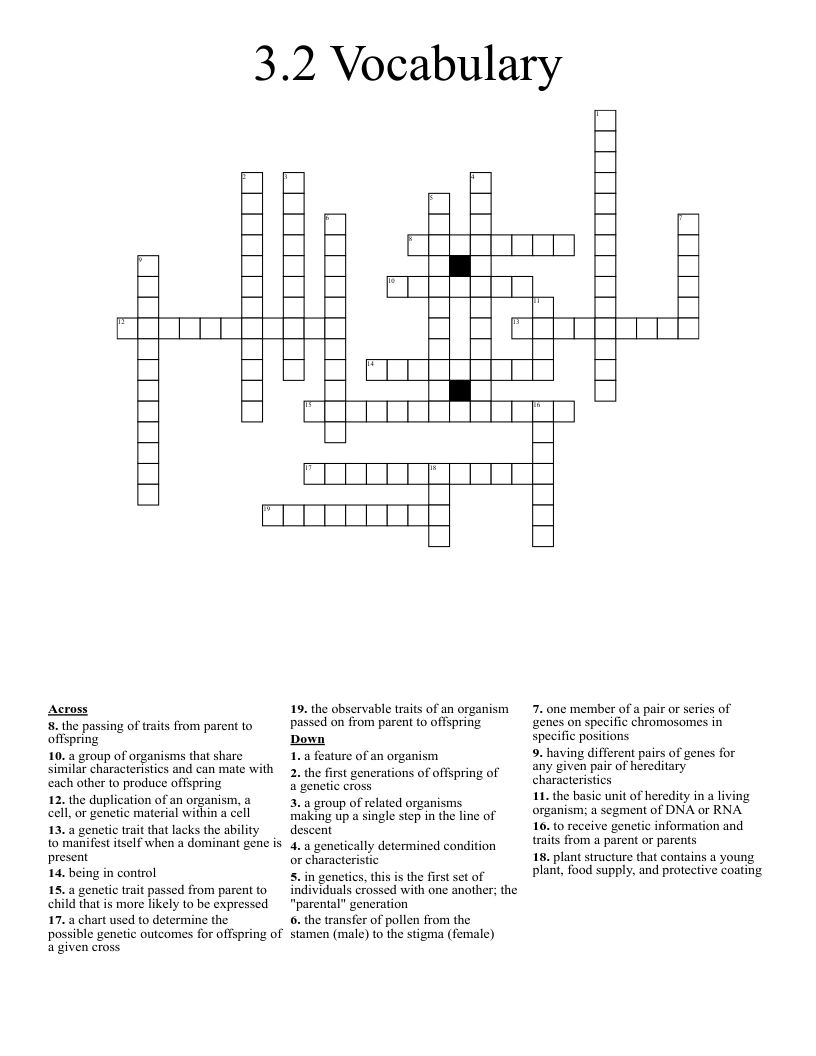 3.2 Vocabulary Crossword