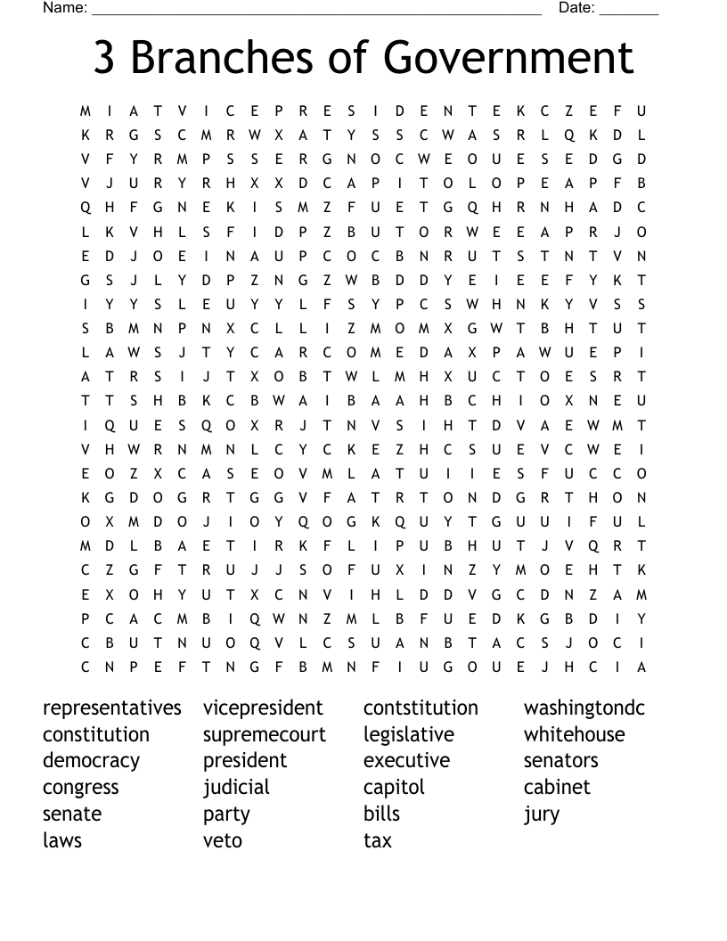 3 Branches of Government Word Search
