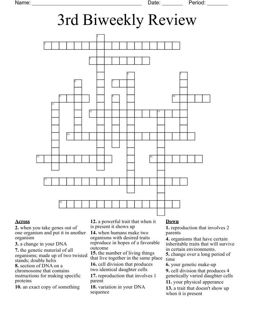 3rd Biweekly Review  Crossword