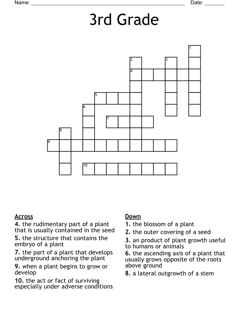 3rd Grade Crossword