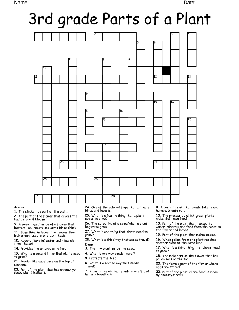 3rd grade Parts of a Plant Crossword