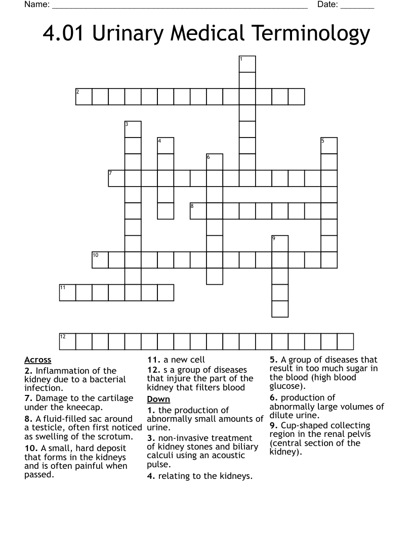 4.01 Urinary Medical Terminology Crossword