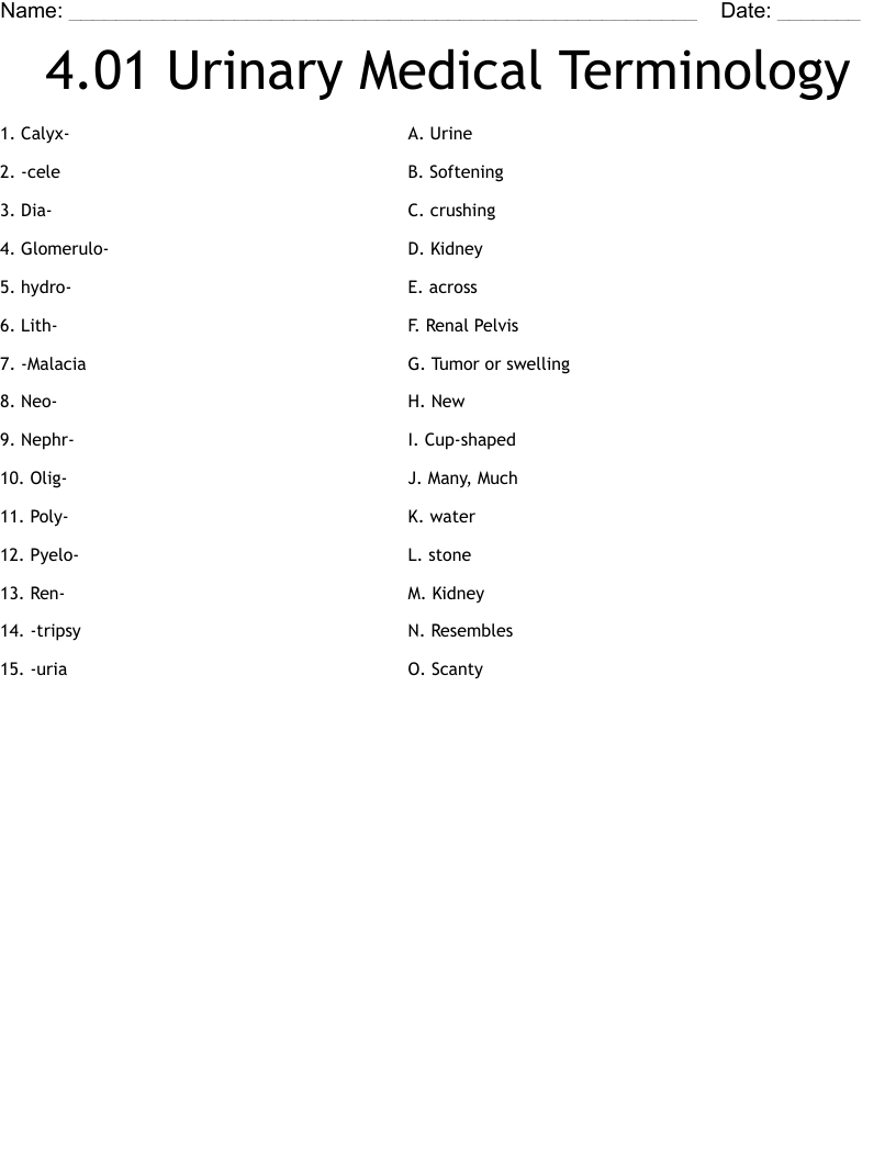 4.01 Urinary Medical Terminology Worksheet
