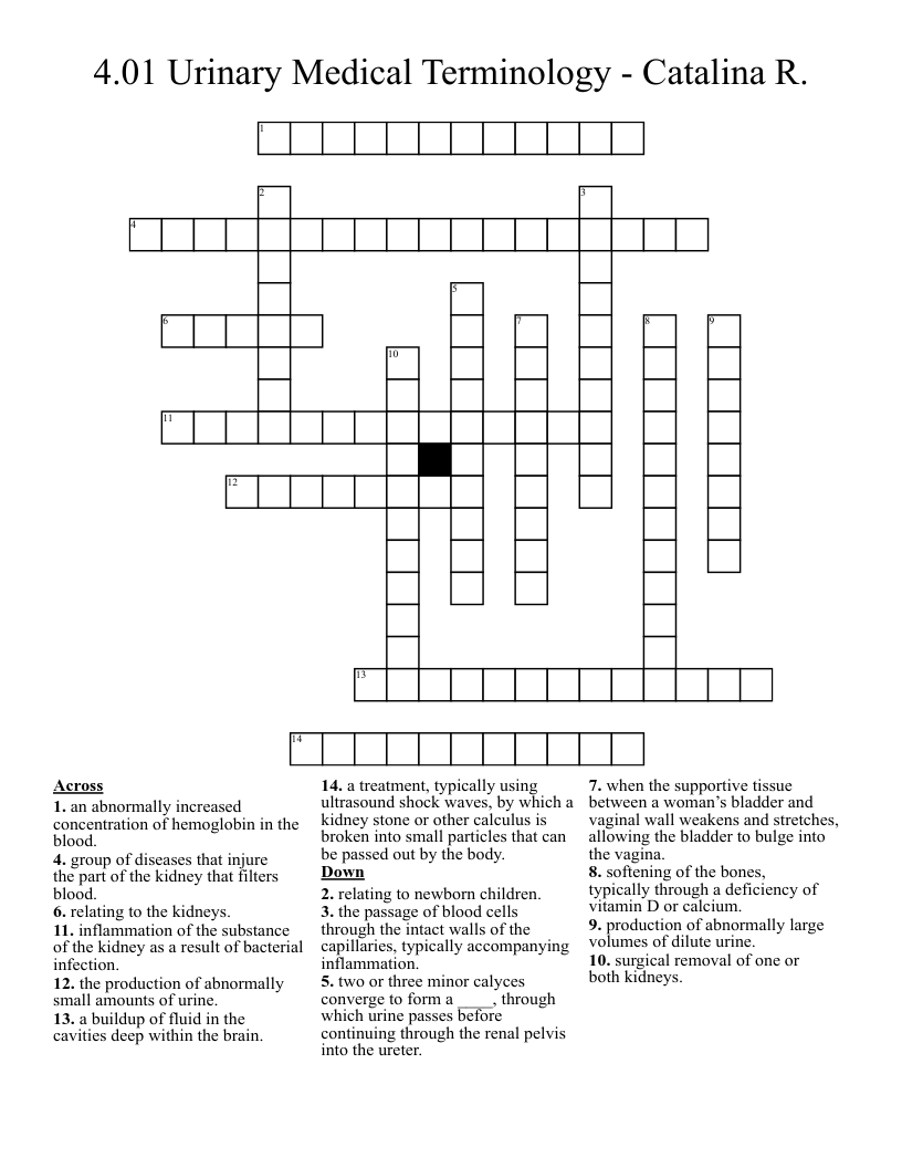 4.01 Urinary Medical Terminology - Catalina R. Crossword