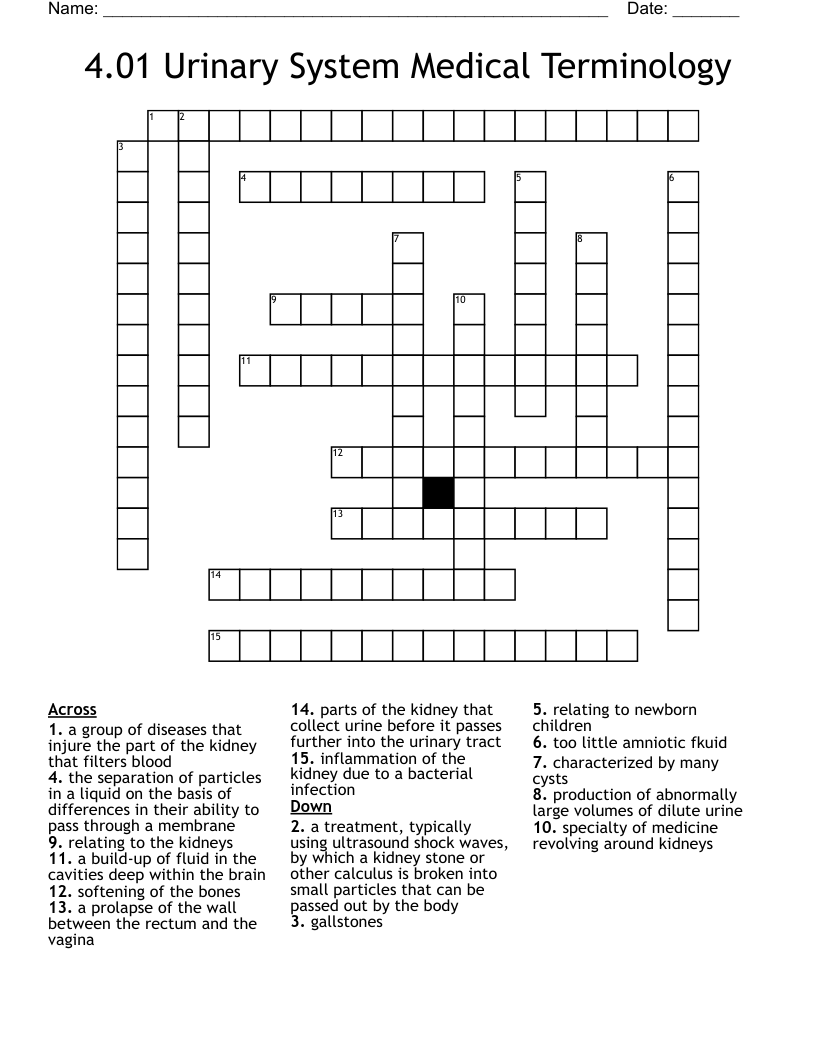 4.01 Urinary System Medical Terminology Crossword