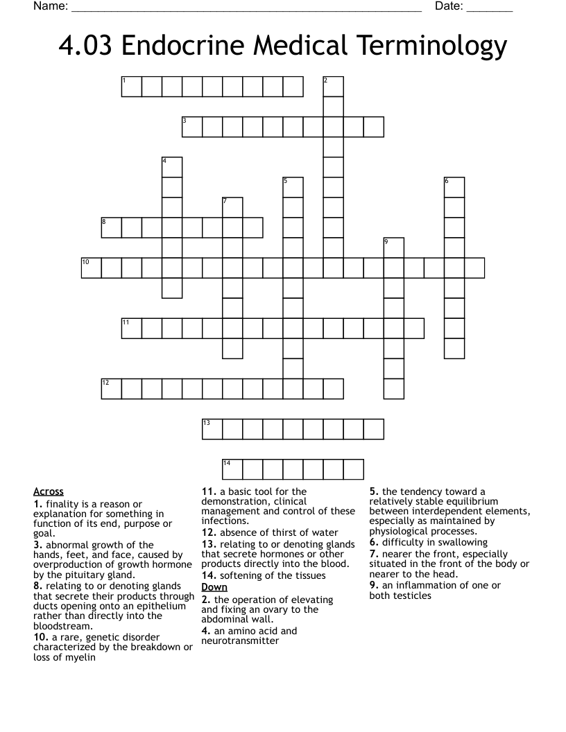 4.03 Endocrine Medical Terminology Crossword