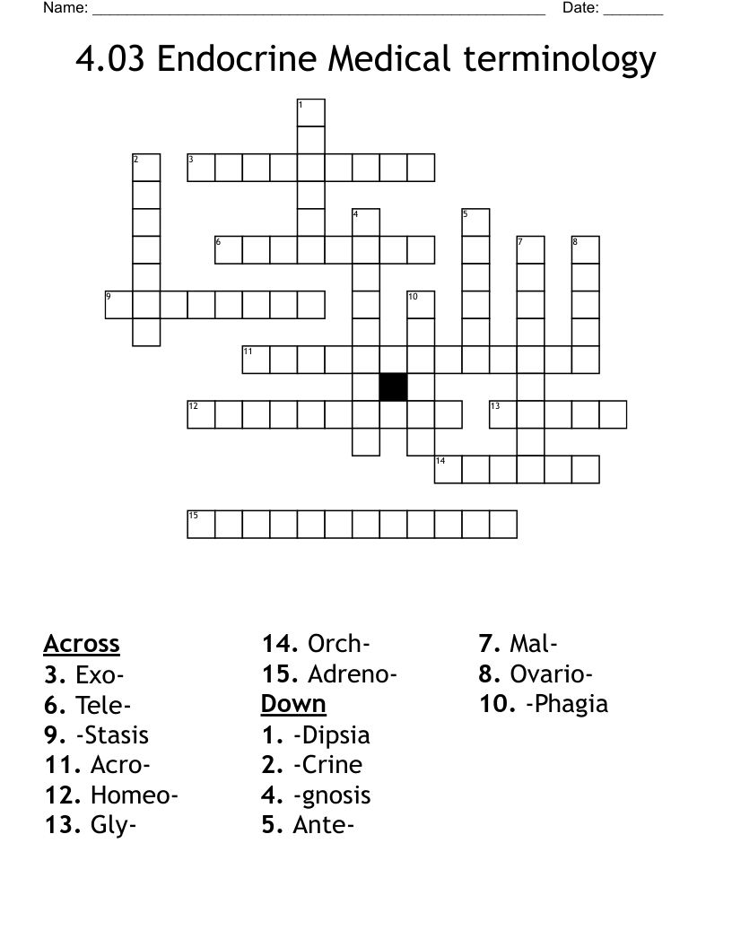 4.03 Endocrine Medical terminology Crossword