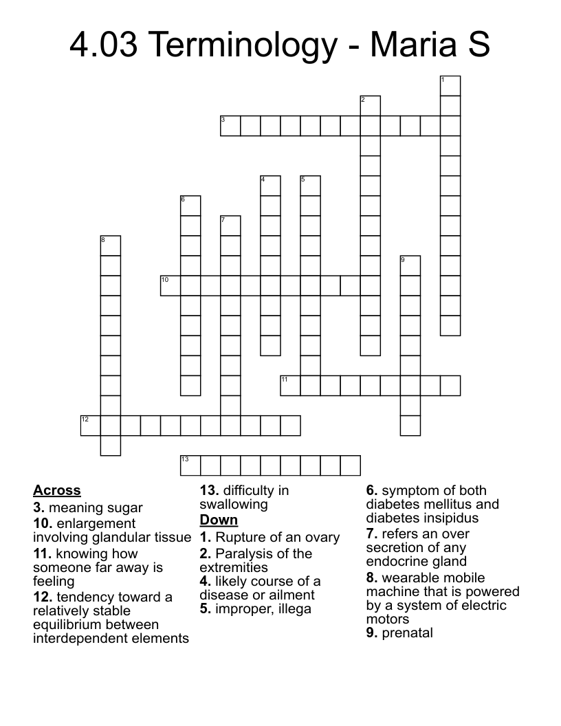 4.03 Terminology - Maria S Crossword