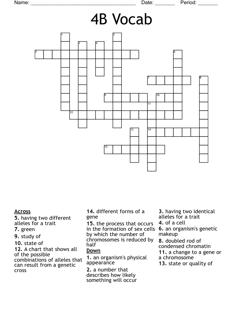 4B Vocab Crossword