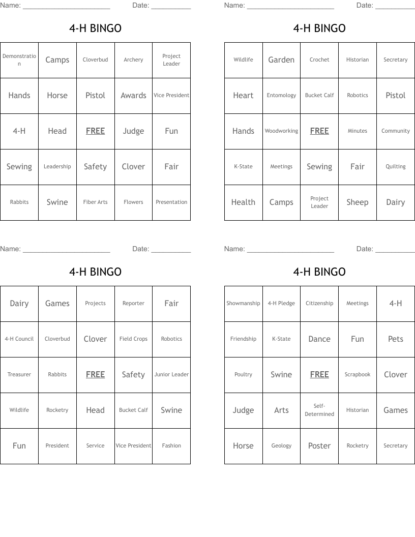 4-H BINGO
