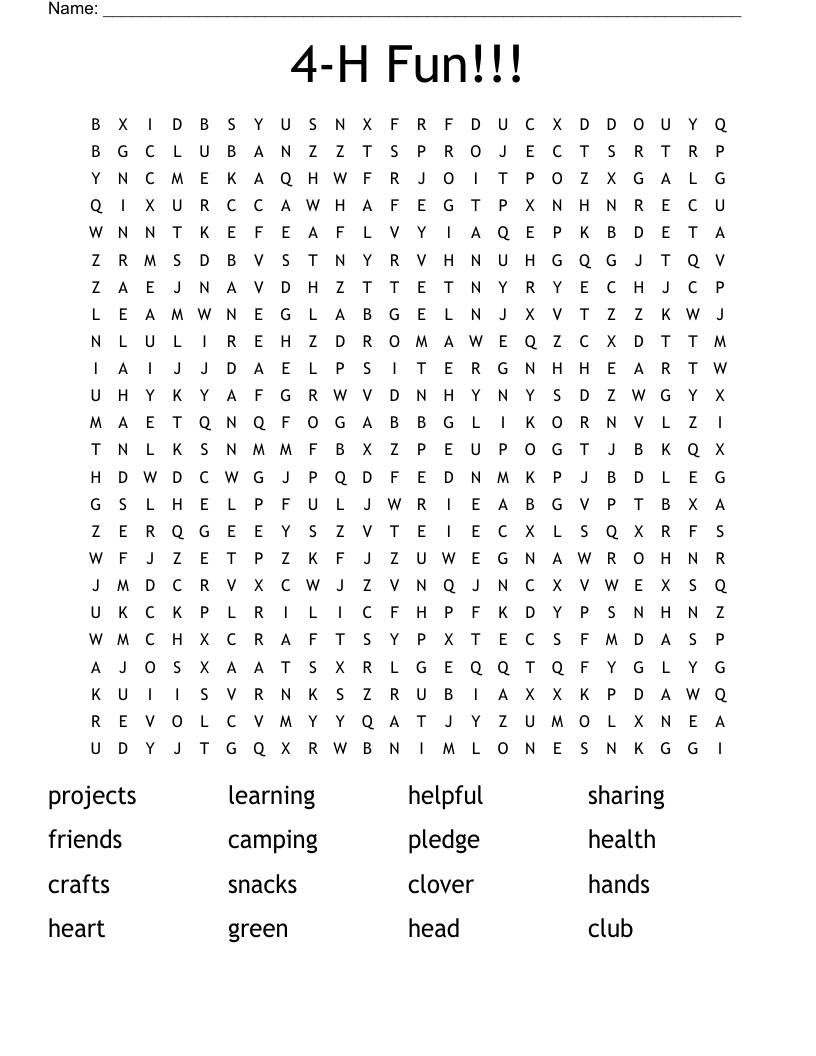 4-H Fun!!! Word Search