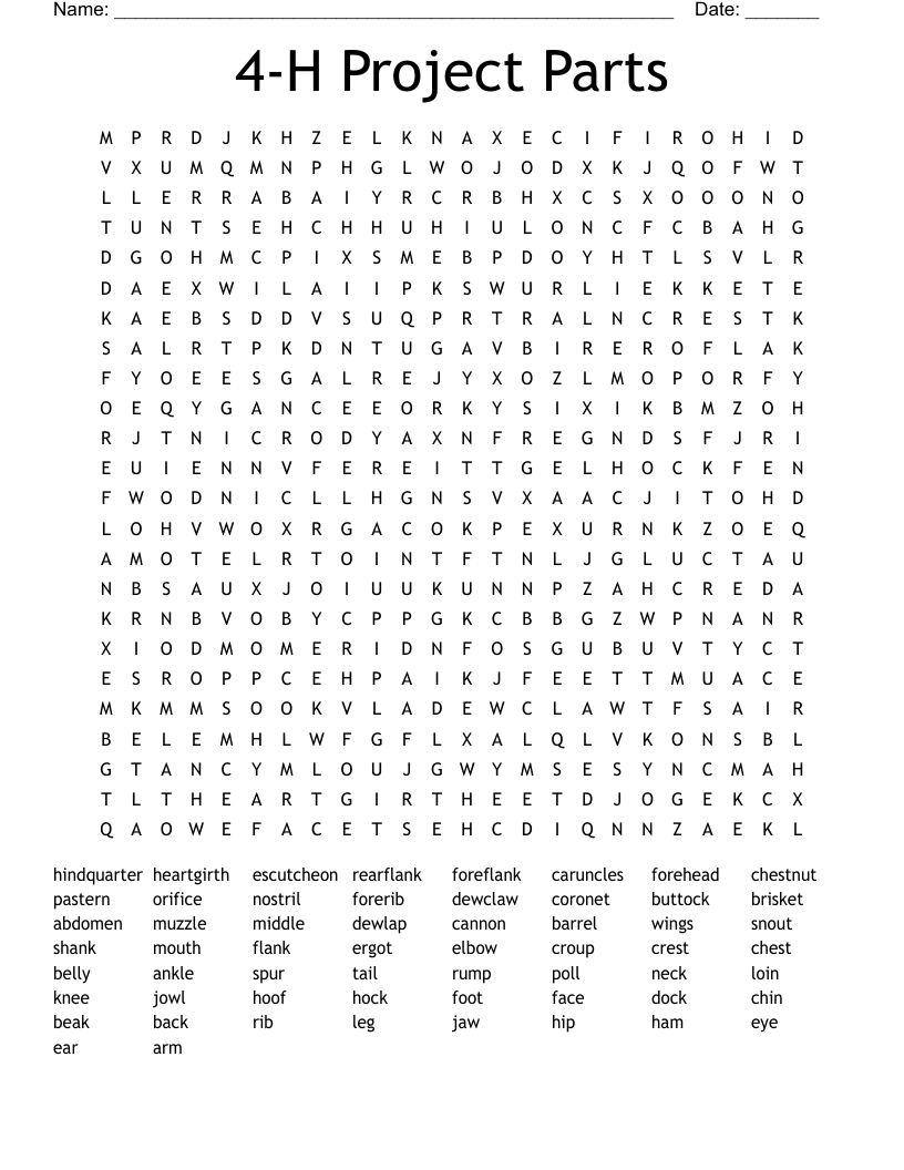 4-H Project Parts Word Search