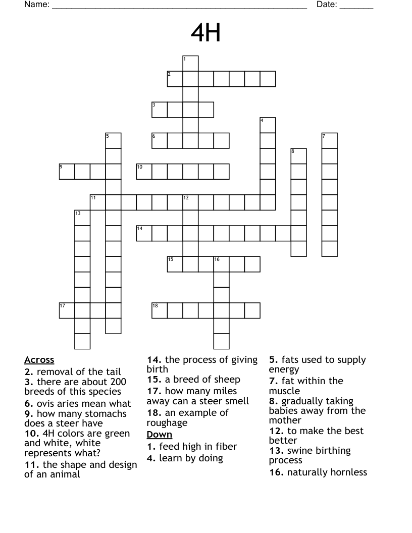4H  Crossword