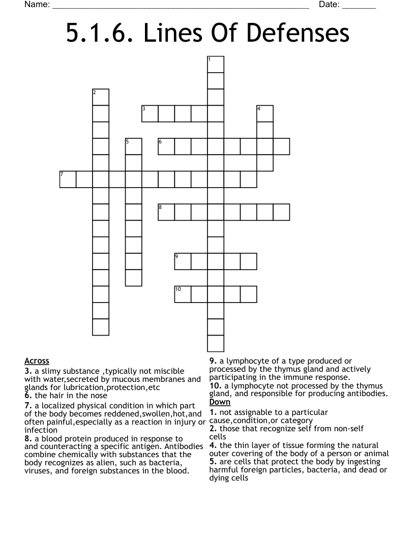 5.1.6. Lines Of Defenses Crossword