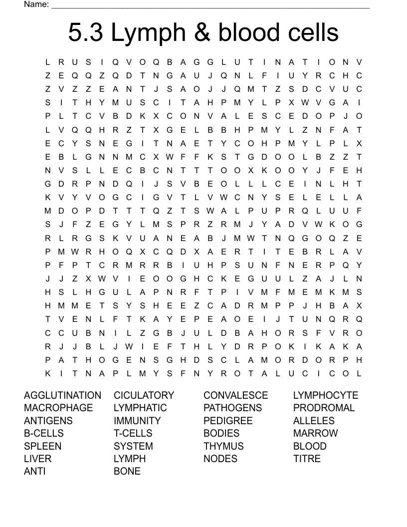5.3 Lymph & blood cells  Word Search