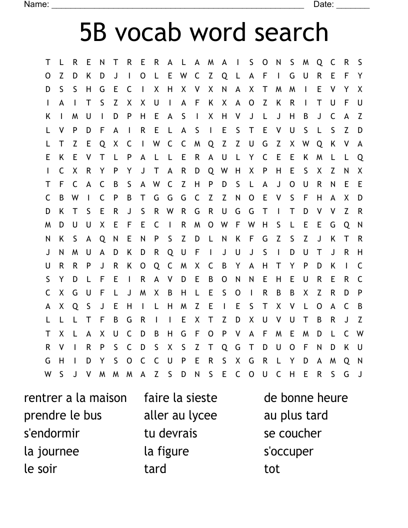 5B vocab word search
