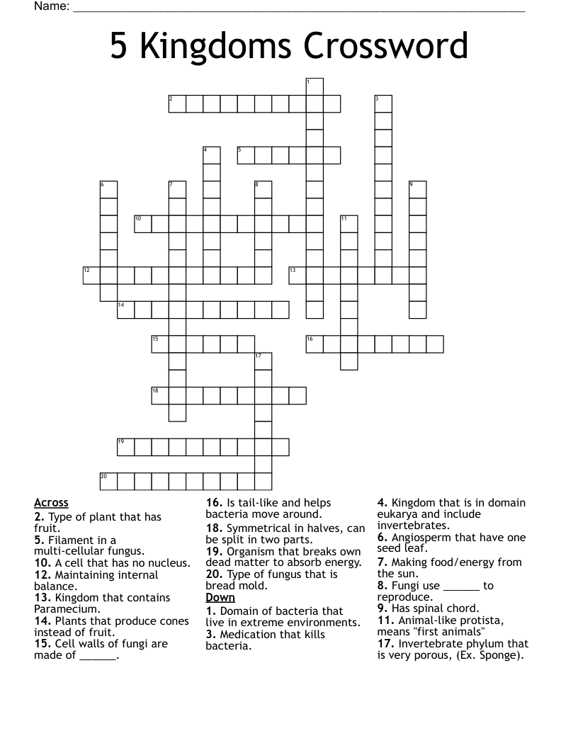 5 Kingdoms Crossword