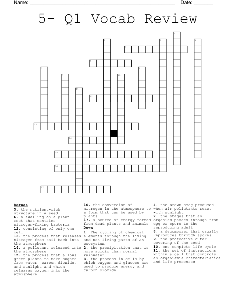 5- Q1 Vocab Review  Crossword