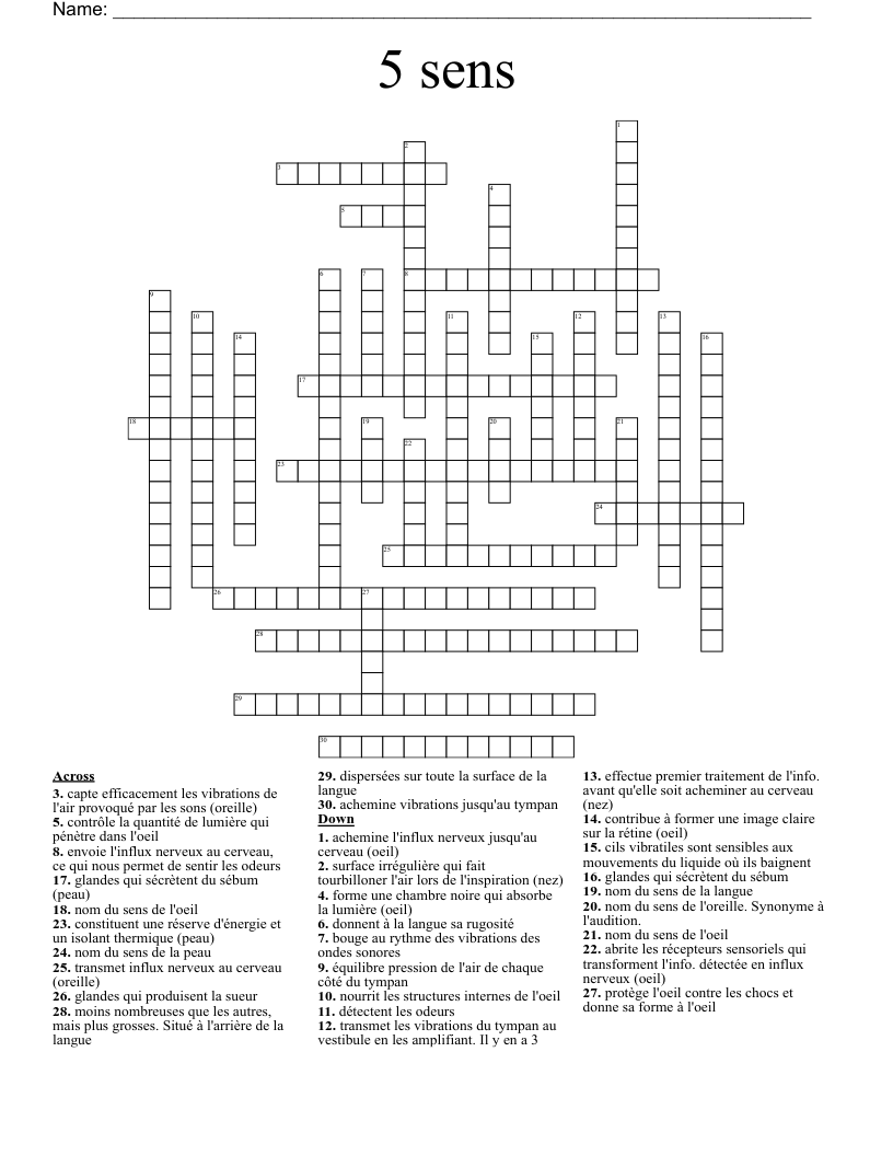 5 sens Crossword