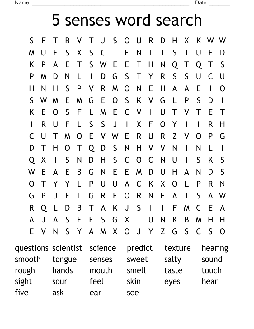 5 senses word search 