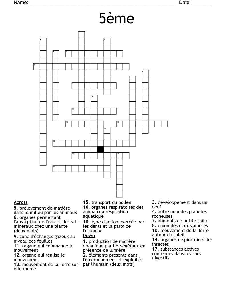 5ème Crossword