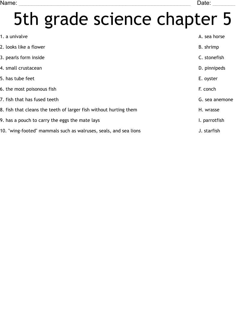 5th grade science chapter 5 Worksheet