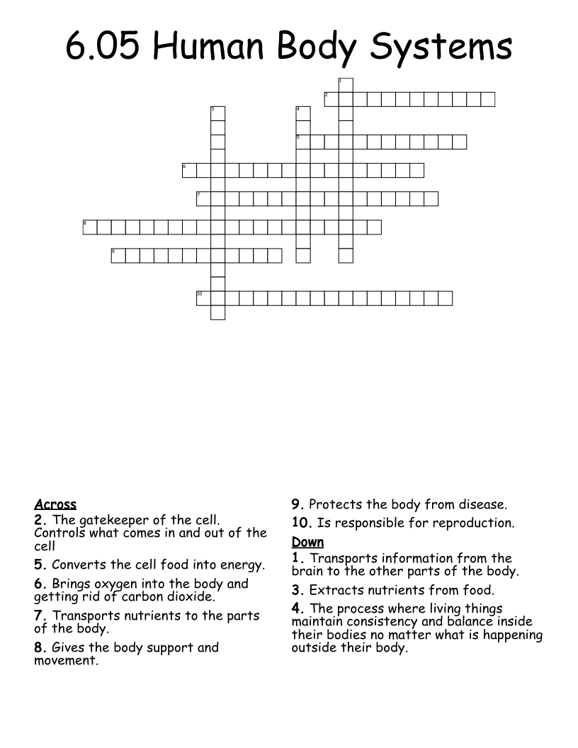 6.05 Human Body Systems Crossword