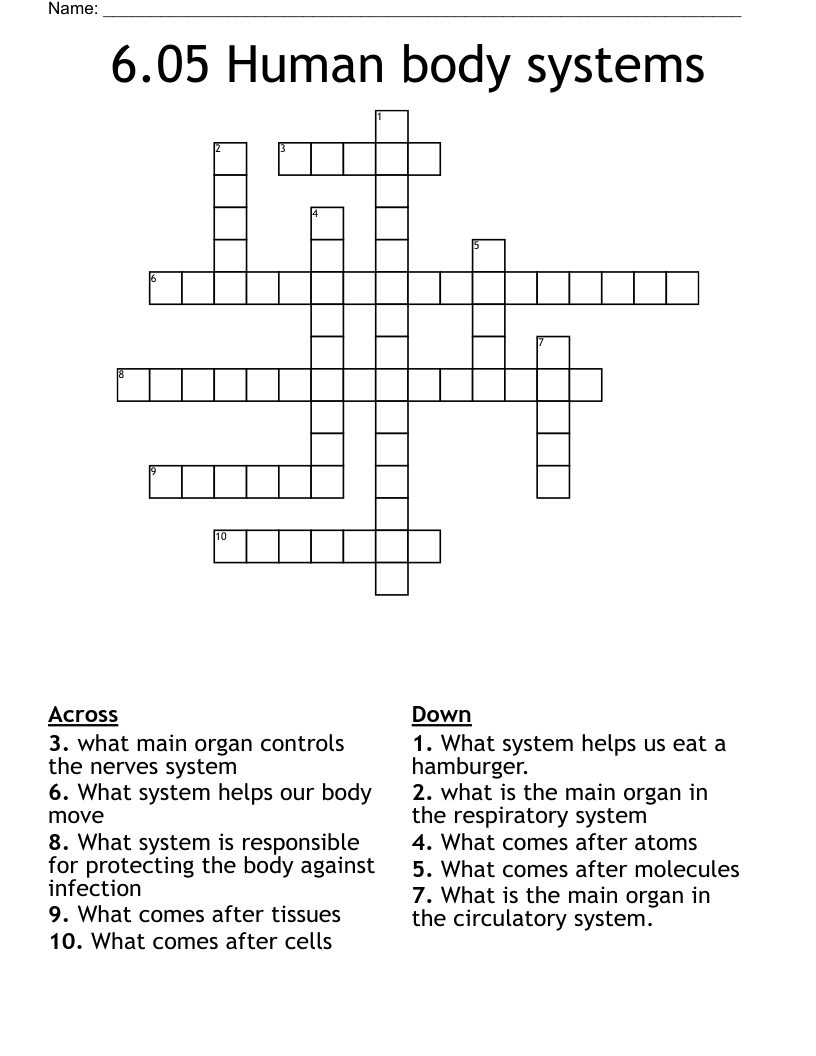 6.05 Human body systems Crossword