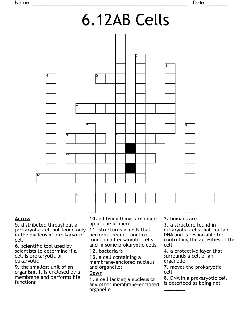 6.12AB Cells Crossword