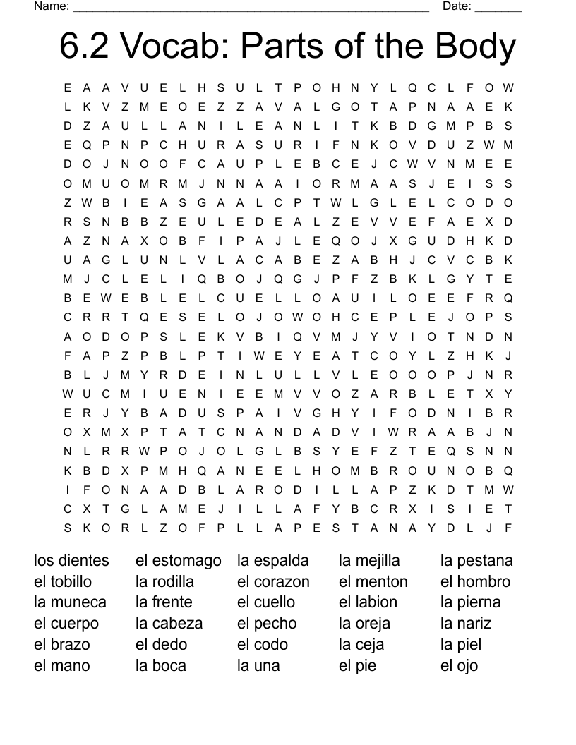 6.2 Vocab: Parts of the Body Word Search