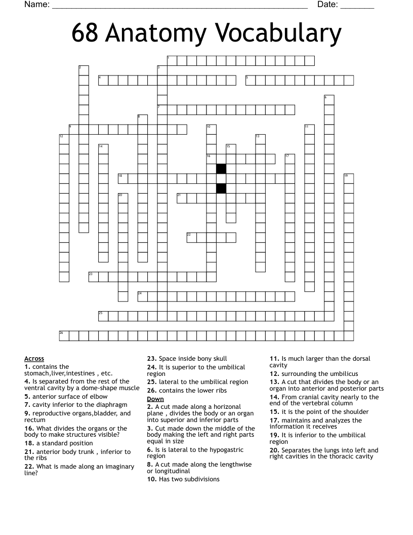 68 Anatomy Vocabulary Crossword