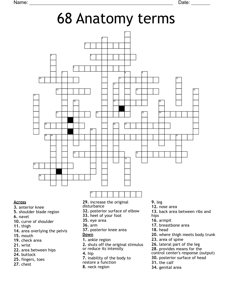 68 Anatomy terms  Crossword
