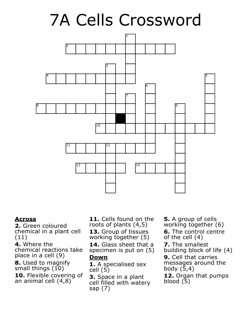 7A Cells Crossword