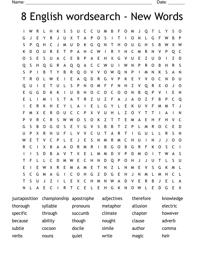 8 English wordsearch - New Words